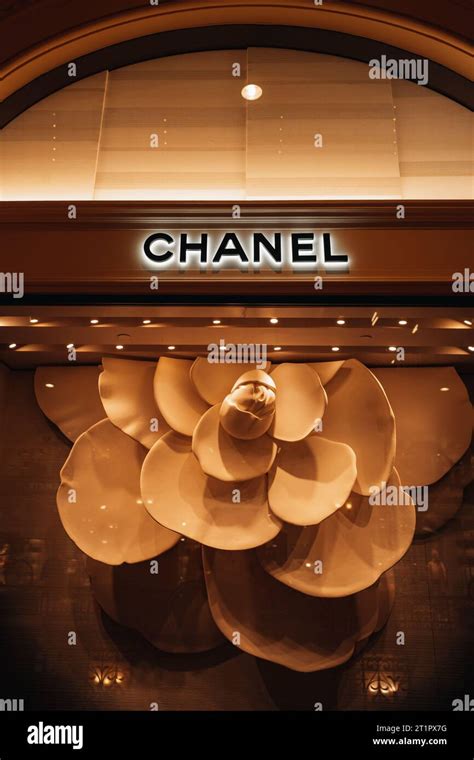 la maison chanel|luxury fashion house founded by.